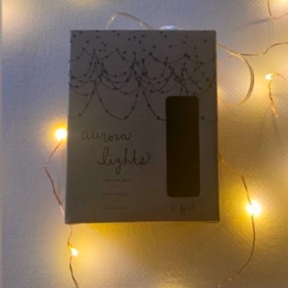 Anthro Copper Aurora String Lights - Picture 1 of 6